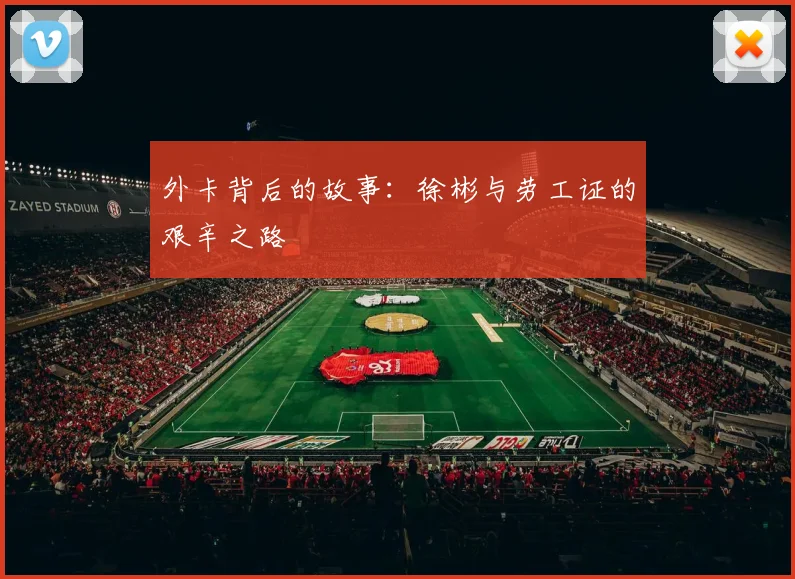 外卡背后的故事：徐彬与劳工证的艰辛之路
