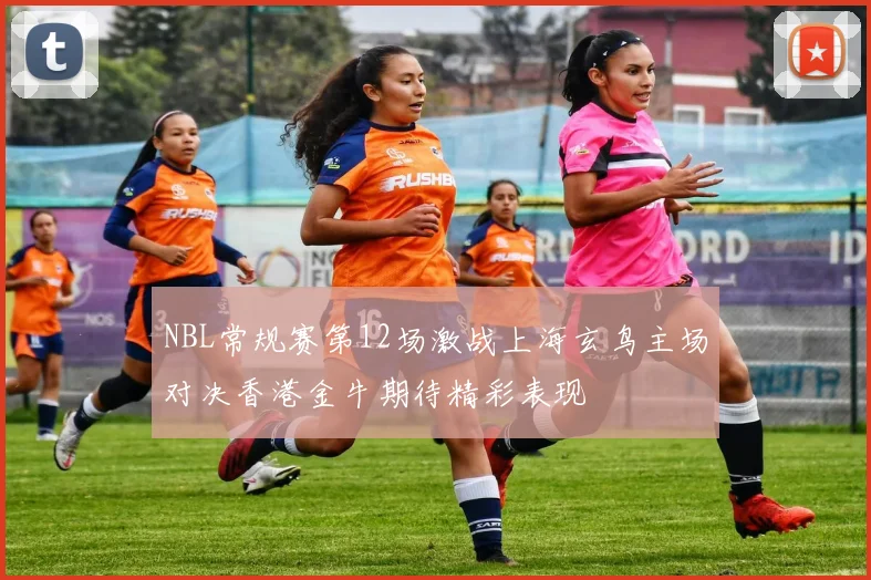 NBL常规赛第12场激战上海玄鸟主场对决香港金牛期待精彩表现